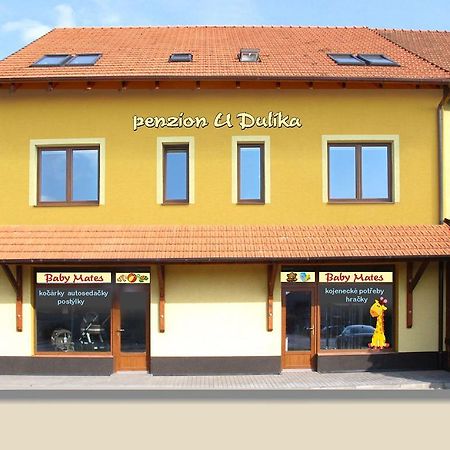 Penzion U Dulíka Veseli nad Moravou Bagian luar foto