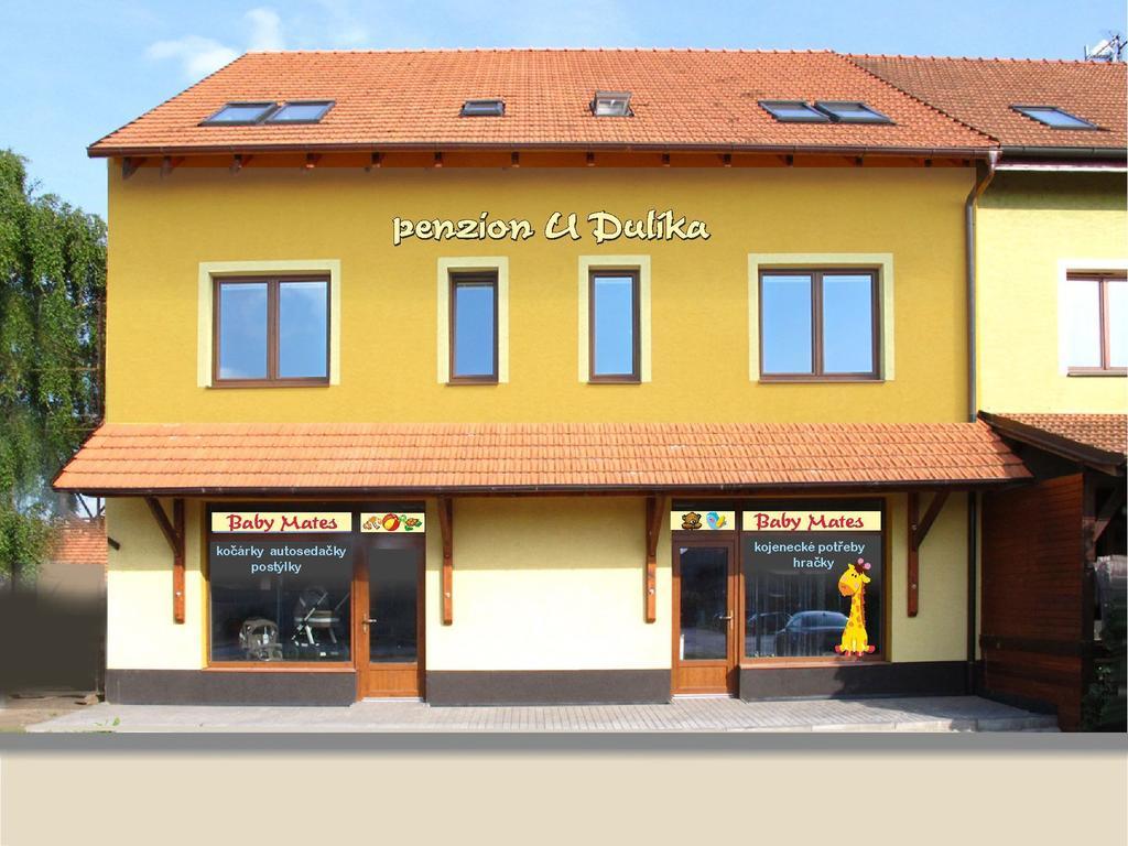 Penzion U Dulíka Veseli nad Moravou Bagian luar foto